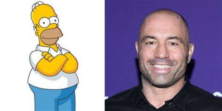 Celebrities named Homer