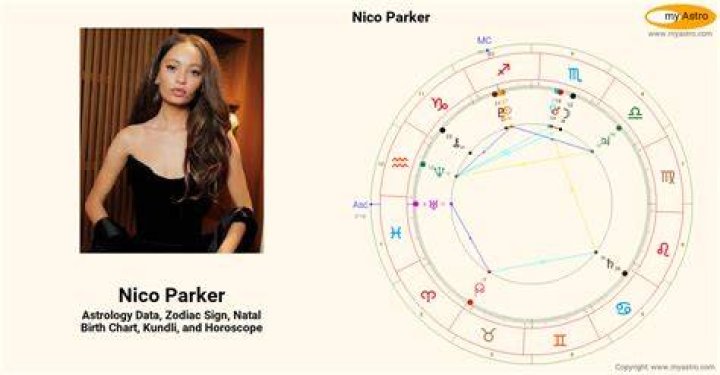 Celebrities named Nico