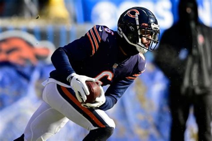 Chicago Bears (Source: Bear Goggles On)