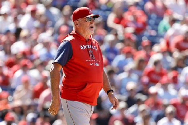 Joe Maddon Net Worth - Wiki, Age, Weight and Height, Relationships, Family, and More