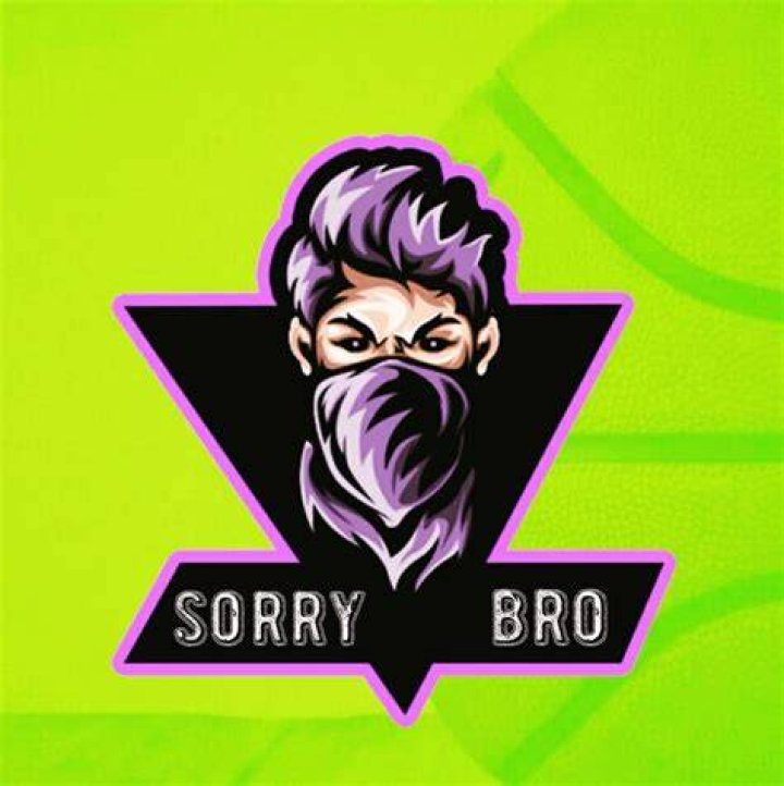 SORRY BRO GAMING 