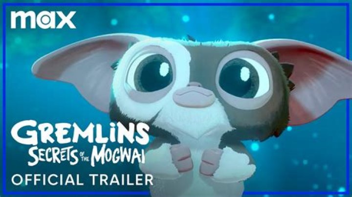 Tiny and Tenacious: The Life of Cricket the Gremlin, a Grumpy but Charming Chihuahua